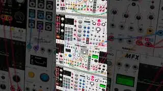 ALM Busy Circuits & Doepfer A-124 in VCV Rack