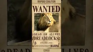Mapogo Coalition Weakest To STRONGEST (Bounty Edition)