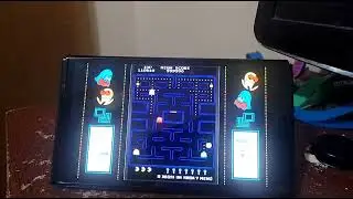 Pac-Man (1980): Level 256 (Pac-man Museum + Version)