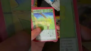 Opening Bargain Bin Clearance MetaZoo in 2024