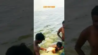 Star Fish Farm - Harvesting Big Size Imc Fish