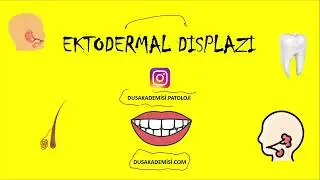 Ektodermal Displazi ve İnkontinentia Pigmenti