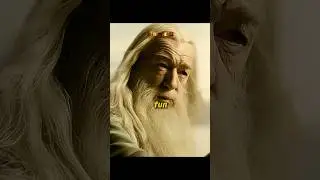 Six fun facts about Harry Potter you probably didn&rsquo;t know #harrypotter #harrypotterfan #potterhead