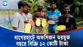 অফসিজন তরমুজ চাষে চমক দেখাচ্ছেন বাগেরহাটের কৃষকরা | Off Season Watermelon | Bagerhat Farmers