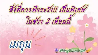 ราศีเมถุน🍁สิ่งที่คุณควรพึงระวังเป็นพิเศษในช่วง 3 เดือนนี้🔮@ShinyTarot9159 🪔
