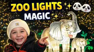 Zoo Lights DC is Insane ✨ | Family's First Time at Smithsonian