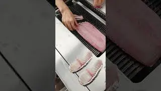 Fish Slicer Machine for Snakehead