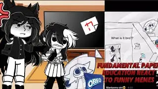 📝 Fundamental Paper Education | Funny Meme Moments &ndash; Part 8