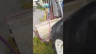 homeless in Hamilton