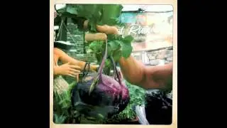 What's in Your Bag at the Nevada City Farmers Market:  Kohlrabi