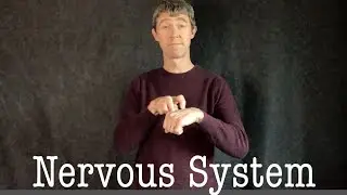 Nervous System (ASL)