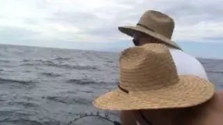 Kingfish @ Flat Rock, Hauraki Gulf