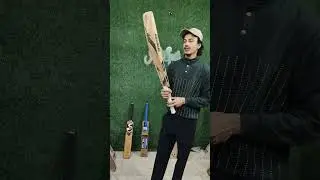 All budget cricket bats available in Delhi shop