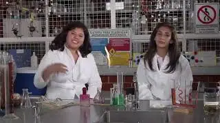 EXPERIMENTOS SEXYS | COLIBRITANY