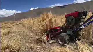 Ultimate REAPER BINDER MACHINE !! Wheat harvest ! #7389588101#7389079481