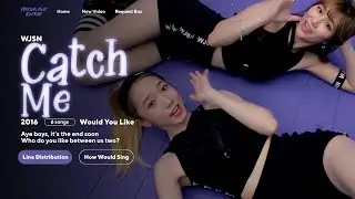 WJSN (Cosmic Girls) - Catch Me 🌙 Line Distribution
