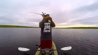 8 lbs and 19 inch Bass