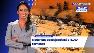 Edición Mediodía 21/01 | Mortandad de abejas afectó a 15.000 colmenas