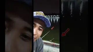 CARA MANCING IKAN BAWAL kolam TTFC 📌