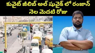 కువైట్ జీలిబ్ అల్ షువైఖ్ లో || Kuwait Syrian Expatriate In Jeleeb || STV Gulf News