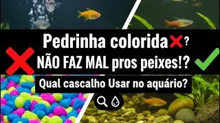 Pedrinha colorida N&Atilde;O FAZ MAL pros peixes!? Qual cascalho Usar no aqu&aacute;rio?