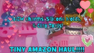 🔥NEW Clay Items, Bracelet Charms & Molds||TINY Amazon Haul||RAW & UNCUT!!❣️✨❣️