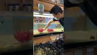 Unboxing: New Aquarium Plant Arrival