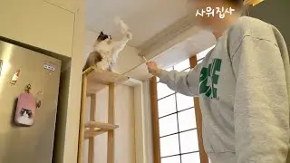 랙돌이네 사위 3년차… 과연 뒤태만 보고 알아맞힐 수 있을까?!
