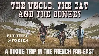Hiking with a Cat and a Donkey ! Best adventure idea ?!  4K Short Film