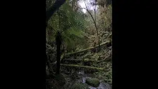 Jay Essex Consult  11-20-21