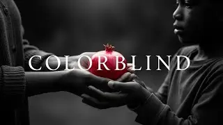 If you couldn't see color, would you understand racism? | Colorblind