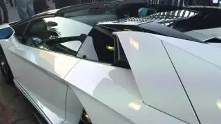 Platinum motorsports lifestyle