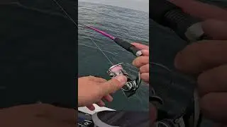 DOURADOS GIGANTES EM ALTO MAR!