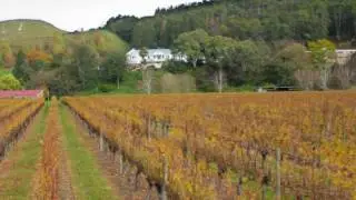 Mission Estate Winery | Winter Time-lapse