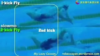 20180722 1-kick vs. 2-kick Butterfly蝶泳有無二踢比較