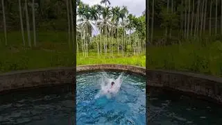 Neutral Spring Nidiya Bibula in Walasmulla Sri Lanka ❤️❤️ #exploresrilanka #natureexploration