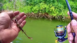 BASS FISHING SECRETS!!! Tips and Tricks For Catching More Fish!