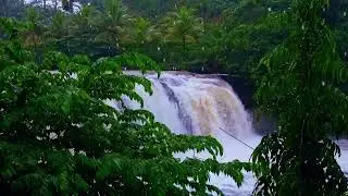 ✨🌧️💧 Heavy Rain Falling Over a Majestic Waterfall in the Calm and Misty Late Afternoon ✨🌧️💧