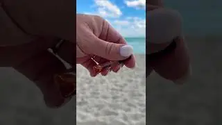 My fragrance of the day in South Beach 🏖️ is Sintra by Memo! #miami #vacation #perfume