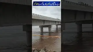 Darya E Satluj Update  #shorts