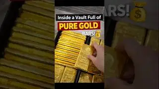 Inside a Vault Full of Pure Gold Bars 😱💰 | Startup Riches