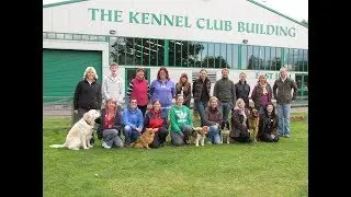 Professional Instructor Skills Course