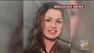 Police Working Multiple Leads In Death Of Woman Found In Chippewa Township