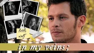 klaus & hayley | 