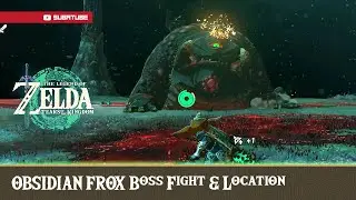 OBSIDIAN FROX Boss Fight & Location (description) - Zelda Tears of The Kingdom