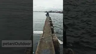 WFD | mancing dam merah muara baru #wfd #muarabaru #fishing #mancingmania