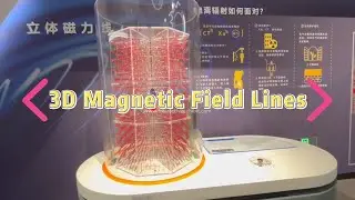Three-dimensional Magnetic Field Lines Interactive Demonstration Device