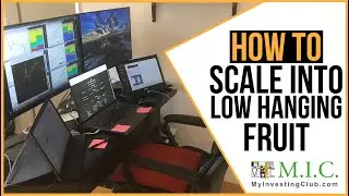 How To Scale Into LOW HANGING FRUIT w/ TomDiesel [PREVIEW]