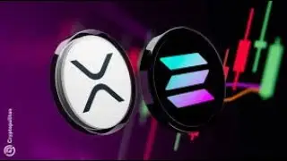 Инвесторы сбрасывают биткоины, скупая XRP и SOLANA!!!