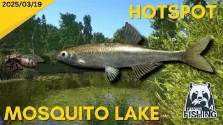 Bleak Hotspot - Mosquito Lake - Russian Fishing 4